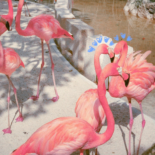 legallyrxx, Abrildefresa – DAIKIRI CON&nbsp;FRESA