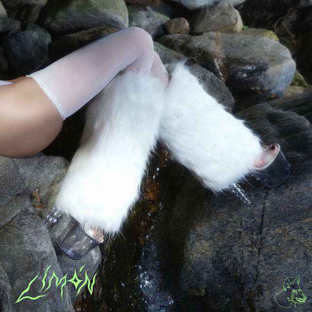 Loyal Lobos – Limón