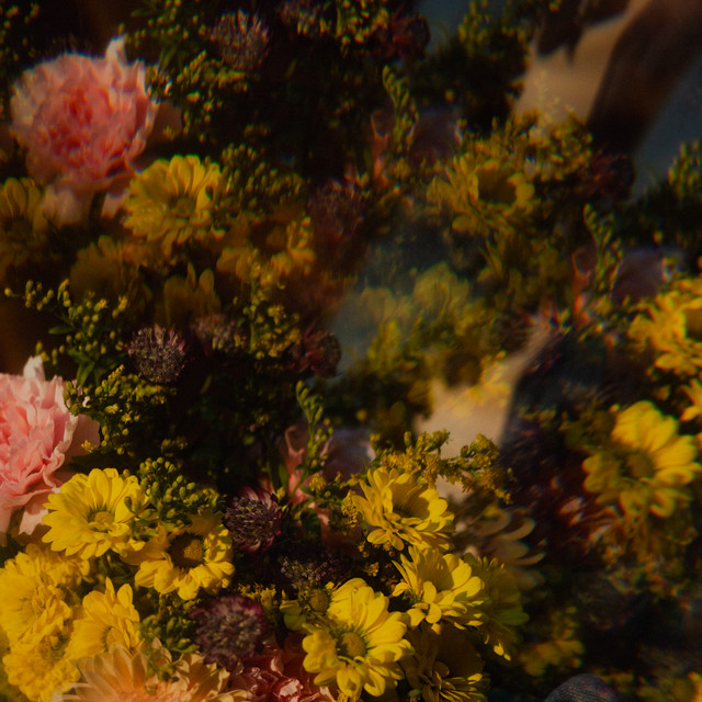 Ben Böhmer –&nbsp;Rust