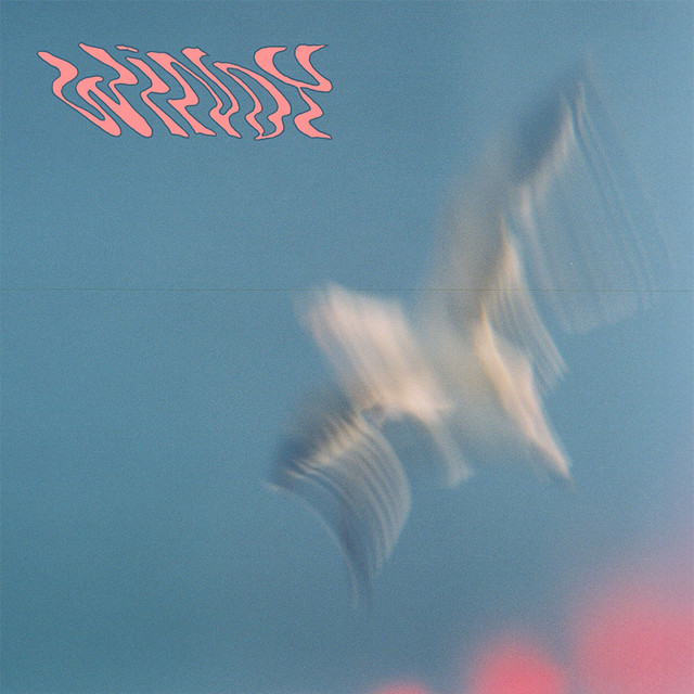 City Mall –&nbsp;Windy