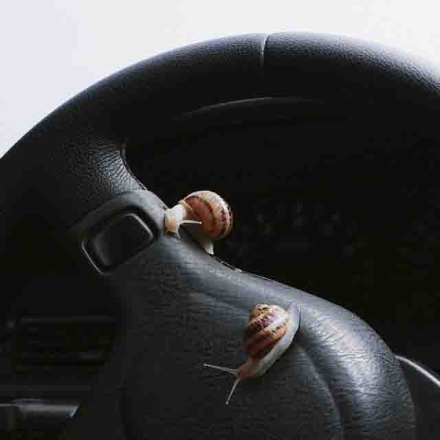 Marc Seguí, PAOPAO – DE NOTA EN&nbsp;NOTA