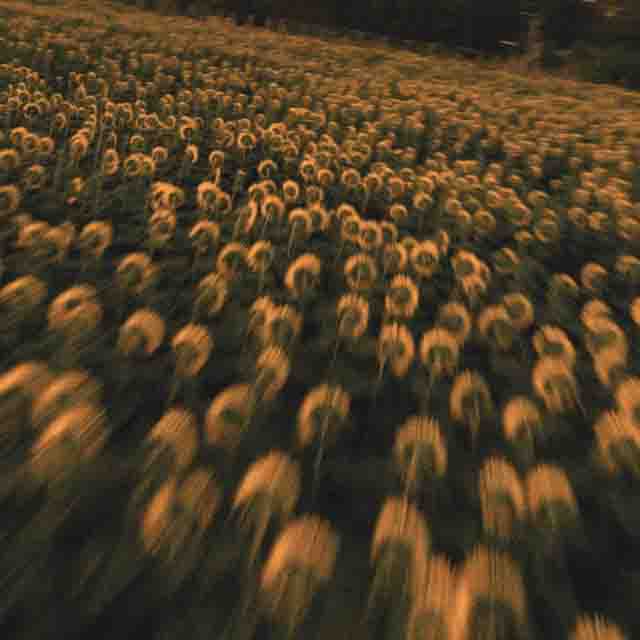 Jay Wheeler – Una Como&nbsp;Tu