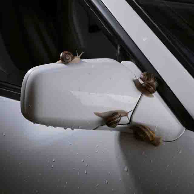 Marc Seguí, Rawayana – FULL&nbsp;TIME