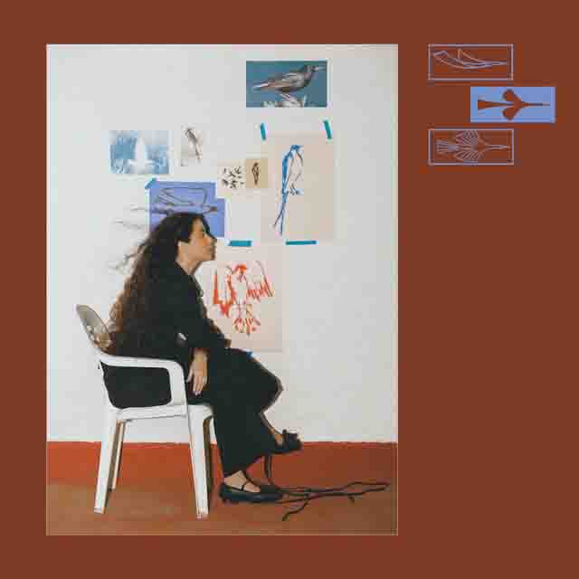 Silvana Estrada – Como Un&nbsp;Pájaro