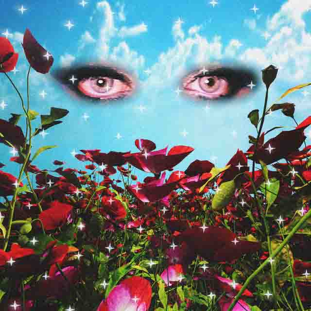 La Favi – Adicta (Album)