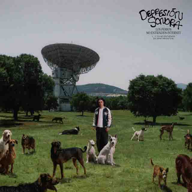 Depresión Sonora – LOS PERROS NO ENTIENDEN INTERNET (…Y YO NO ENTIENDO DE SENTIMIENTOS) (Album)
