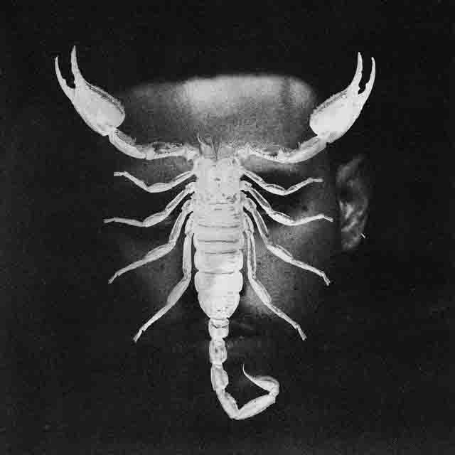 JHAYCO – SCORPIO