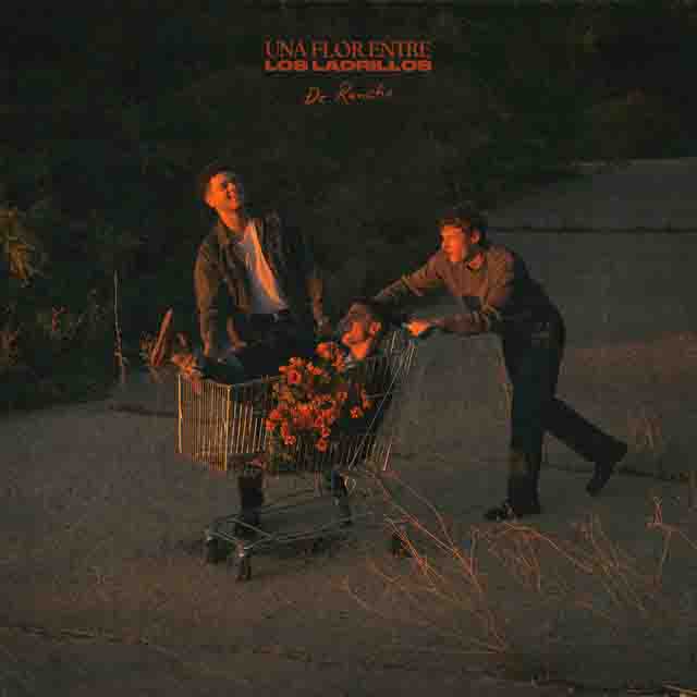 De Rancho – Una flor entre los ladrillos&nbsp;(Album)