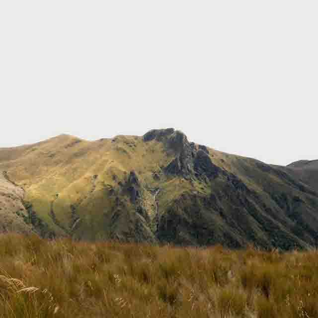 Menino Gutto, Béesau, Curandeira, Pasche –&nbsp;Presságio