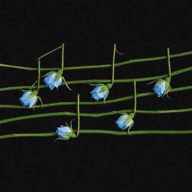 Raul Clyde – solo x ig(2018)