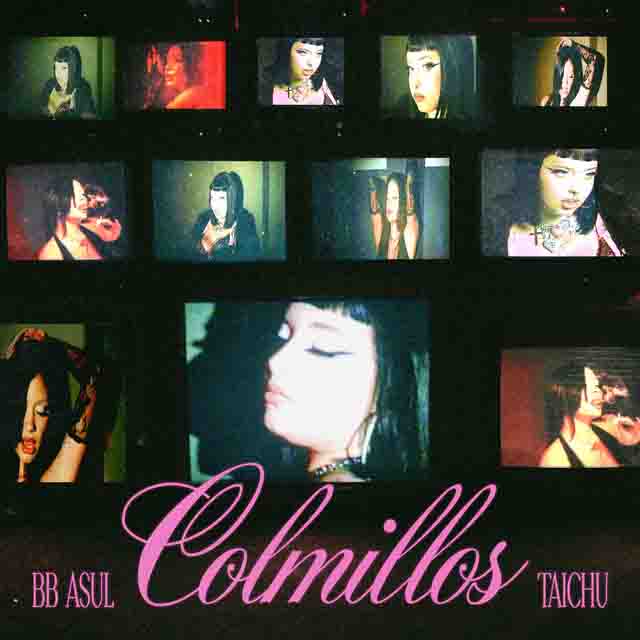 BB ASUL, TAICHU – colmillos