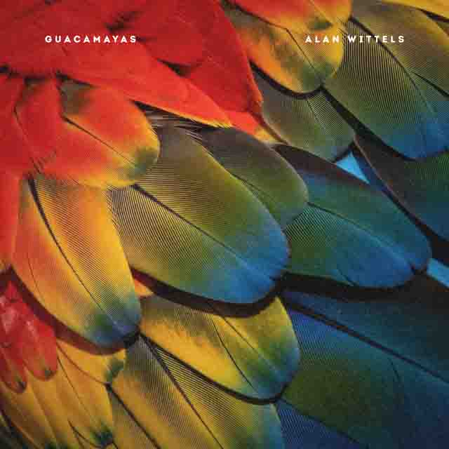 Alan Wittels – Guacamayas